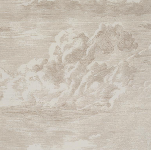 Cloud Toile Fabric