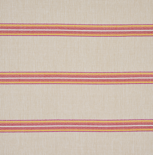 Garden Stripe Indoor/Outdoor Fabric