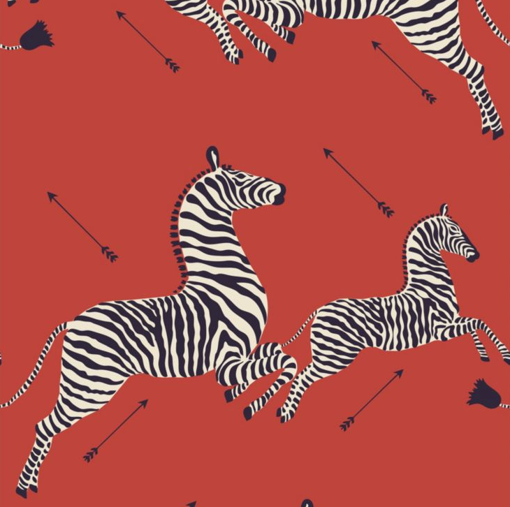 Zebras Wallpaper - Urban American Dry Goods Co.